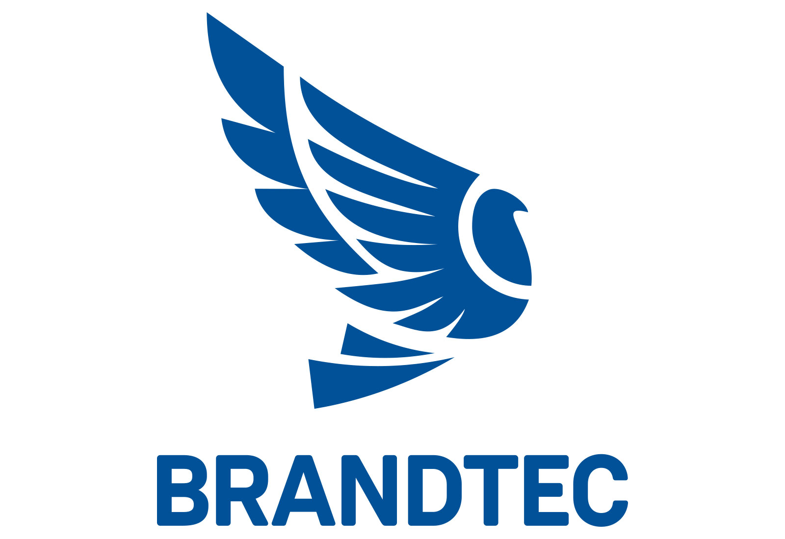 logo_brandtec